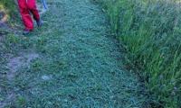 IMG_20220518_180356.jpg